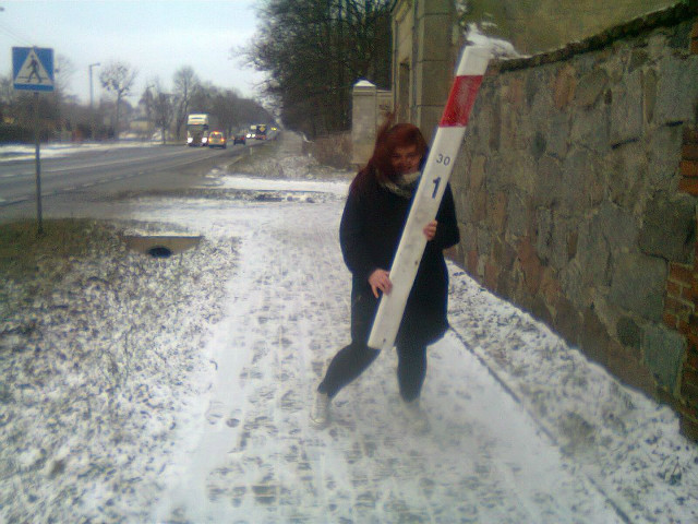 bratki ;D