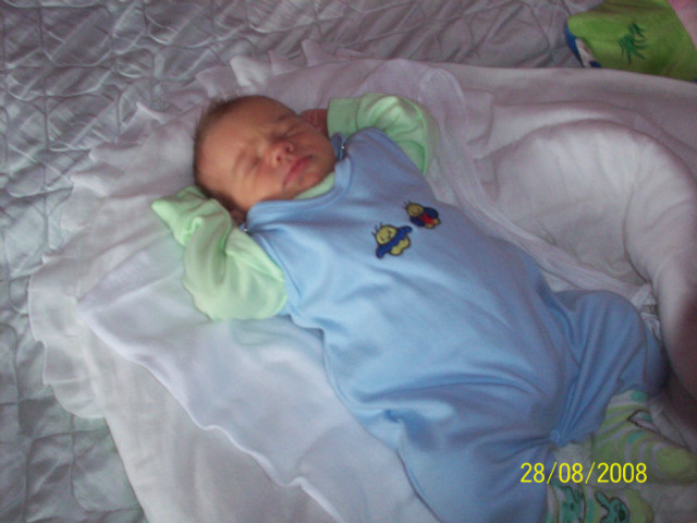 Wpis bigosz