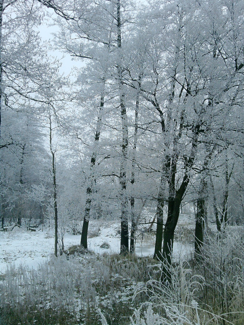 zlodowacenie.