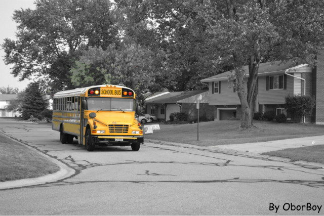 SCHOOL BUS 