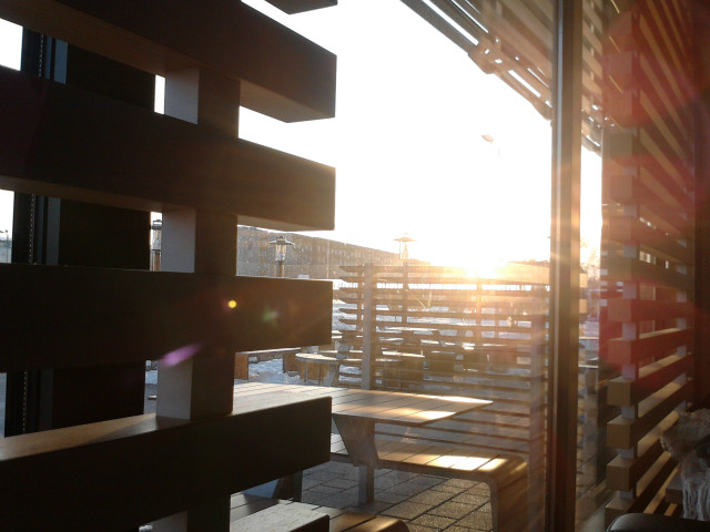Winter sun