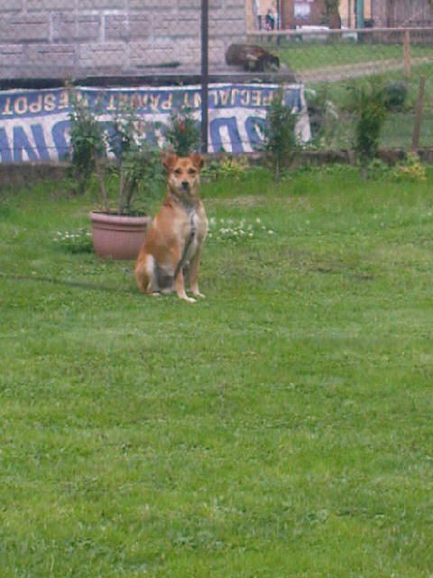 Wpis nektarynkaaaa