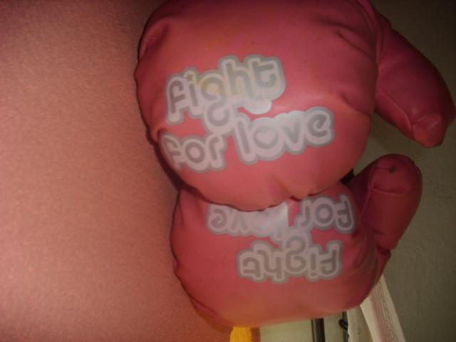 fight for love