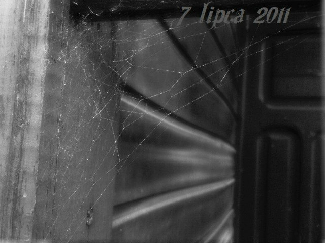 SpiderNet