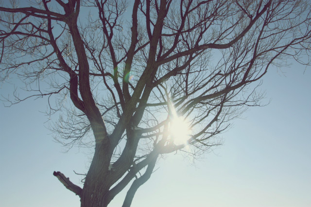 sun,sun,sun