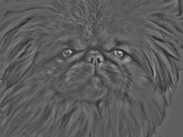 MAX!