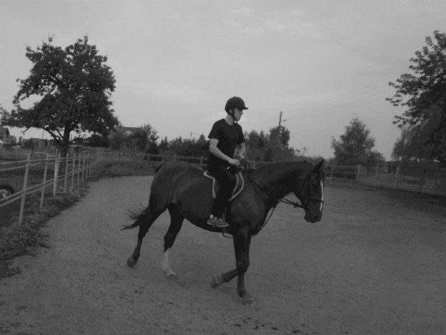 Horse riding