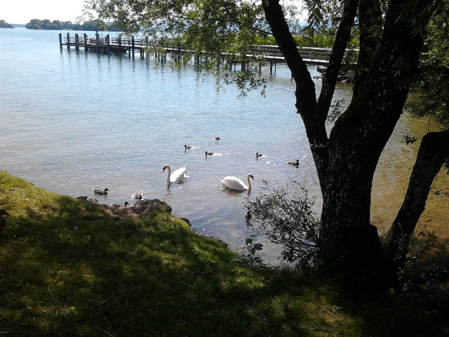 02. Herreninsel