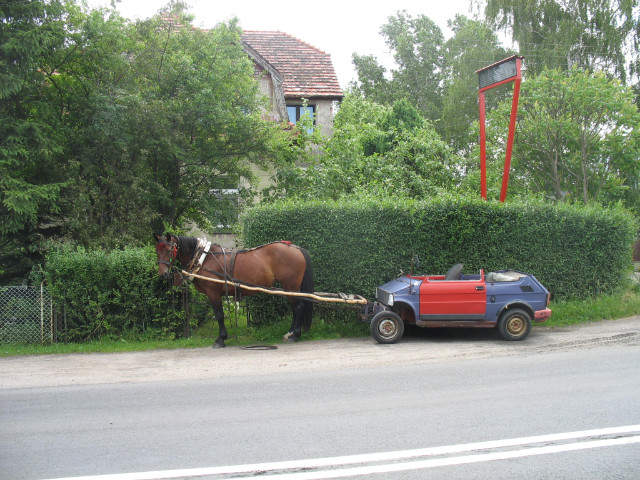 Jeleniogrska taksa :)
