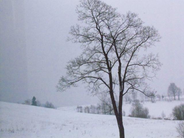 1,