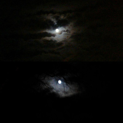 In the Moon