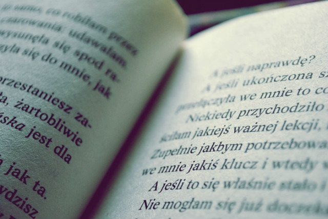 Wpis wypierdalaj