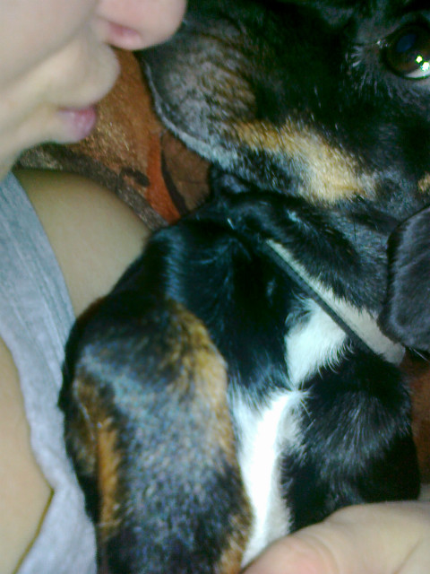 Wpis taaaaaxd