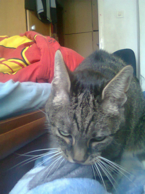 pereka x2  xD