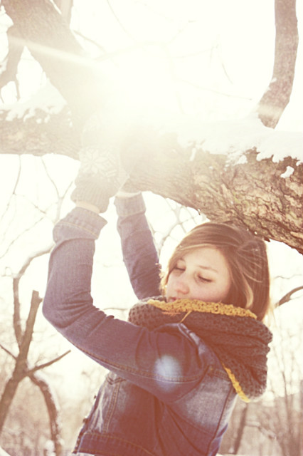 fallen leaves