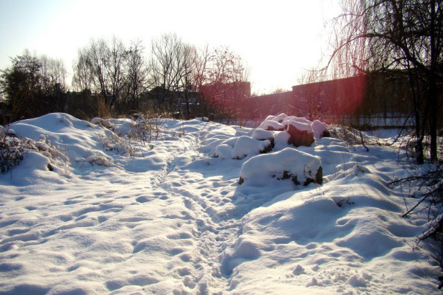 Plener plastykowy.