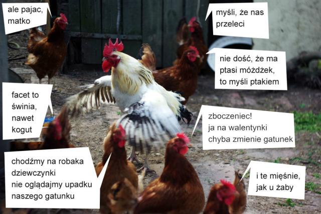 na wito epileptykw