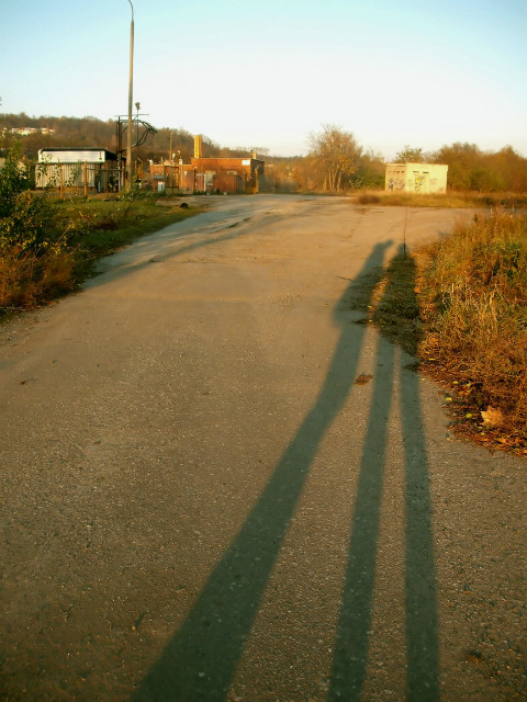 Wpis fotografis