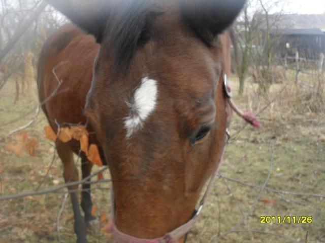  Benita ;*