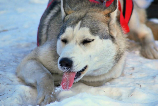 Diora Love's Snow:D