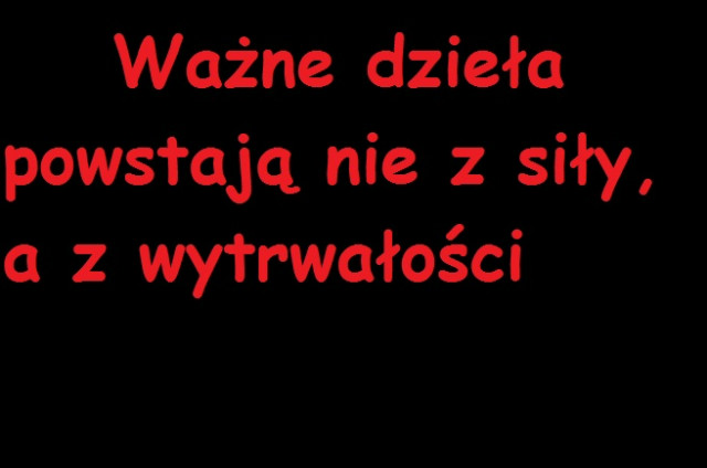 Wpis faanatycznyy