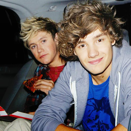 Wpis onedirection5