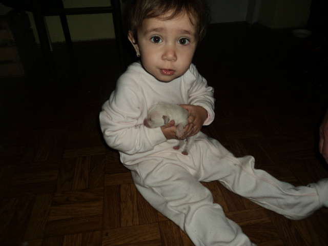 Wpis sylvia5