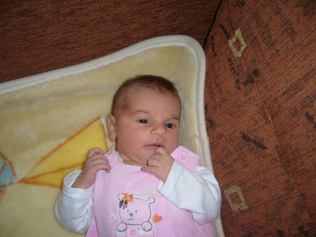 Wpis gajducha