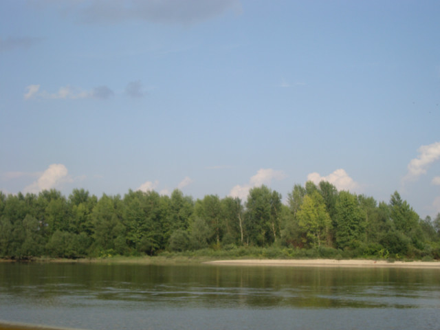 Wpis duuzacicha