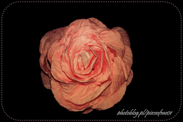 Wpis pieceofme01