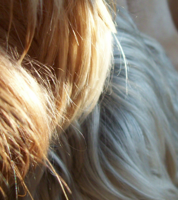 Hair of the dog.