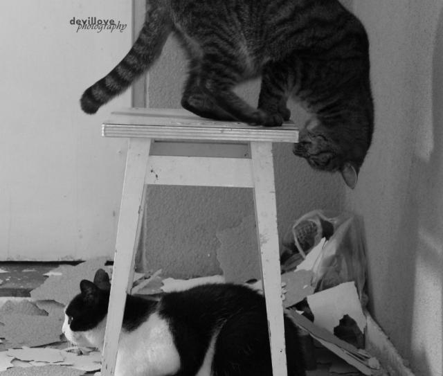 raz , dwa , trzy .. i nie ma nic