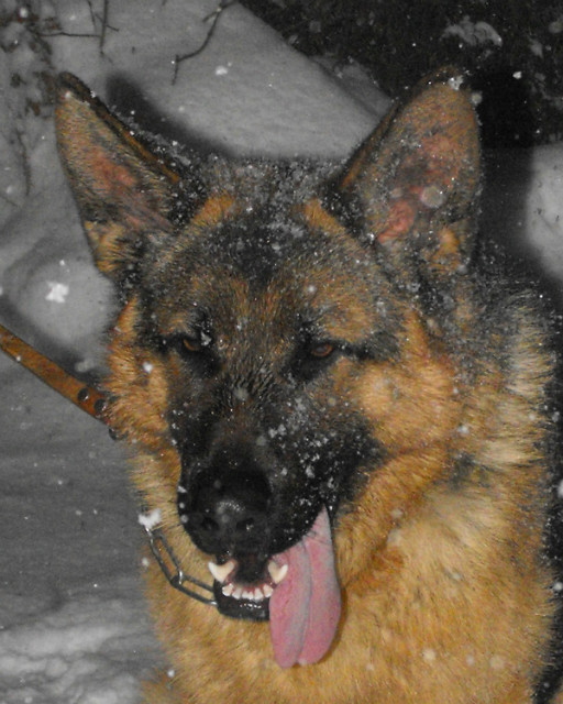 :P