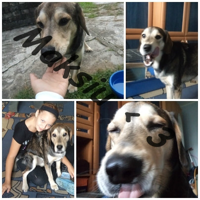 Max.