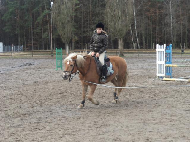 Staree;p