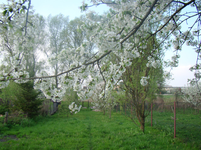 Wiosna 2011