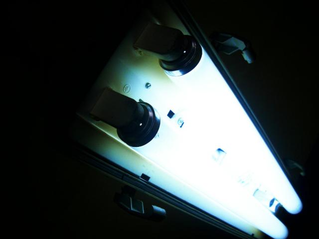 Wpis luciferr2