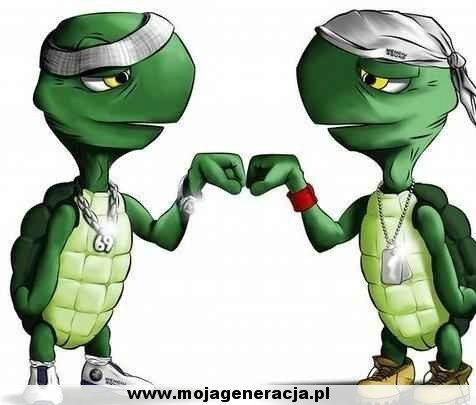 Wpis morphinexandxheroine