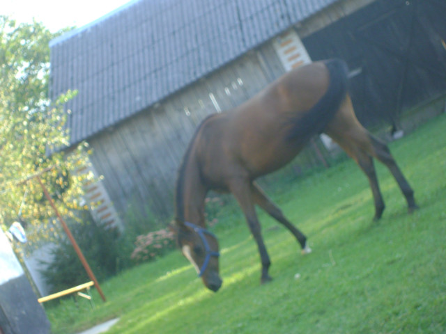 Eragon :)