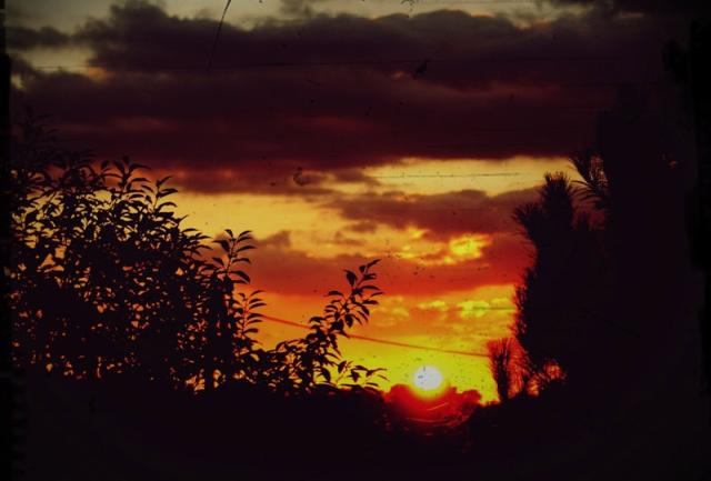 Wpis karoliphotography