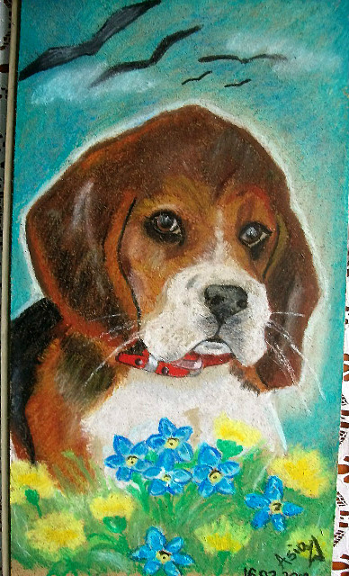 Beagle ;)