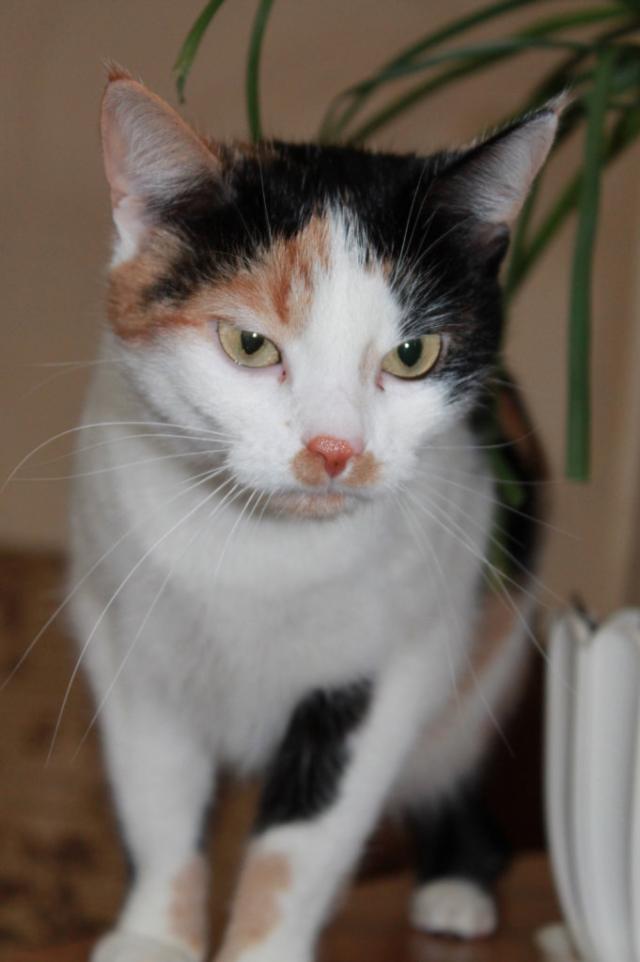 Jezuki :*