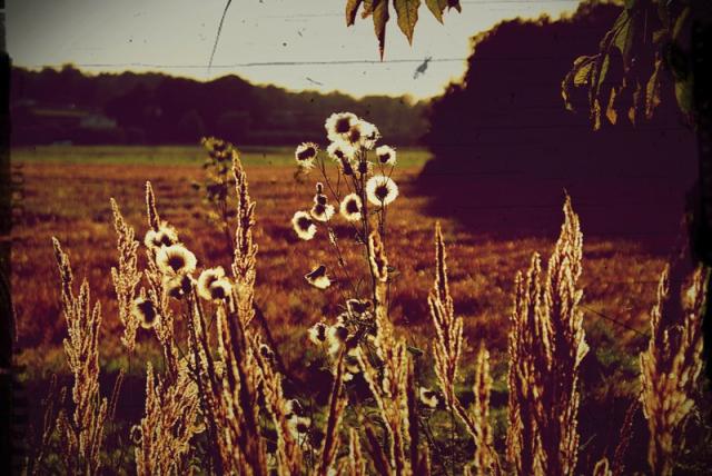 Wpis karoliphotography