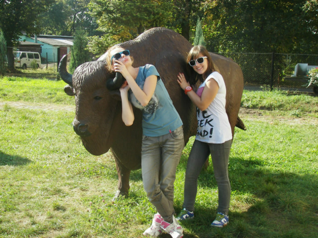 Szaps&Zims 