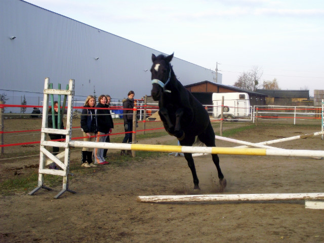 Wpis jumpingteamg