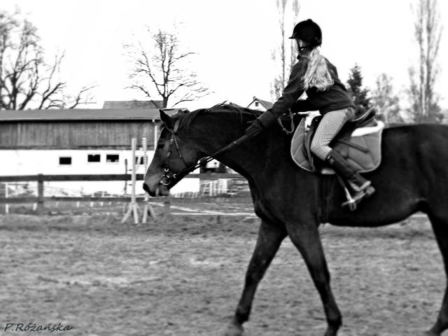 Agnieszka i Amant.