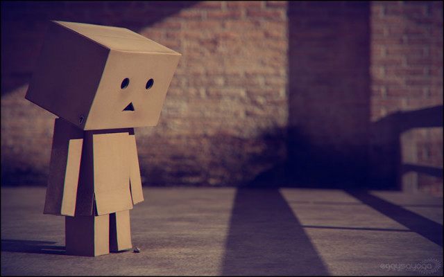 danbo.