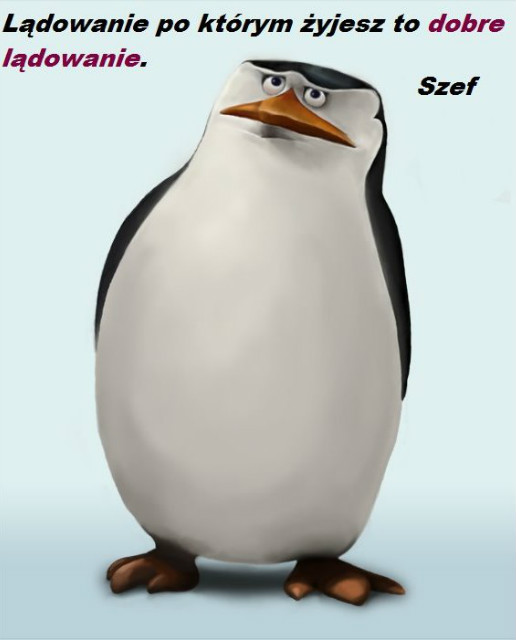 Wpis wyjeebongo
