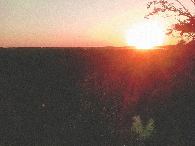 skauy