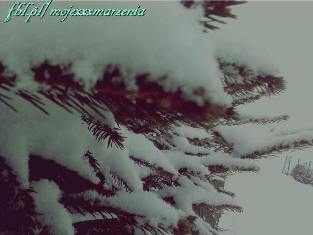 Wpis mojexxxmarzenia